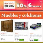 Ofertas de Electrónica y Electrodomésticos en San Fernando | Muebles y colchones de Ribeiro | 10/5/2023 - 8/6/2023