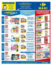 Catálogo Carrefour Maxi en San Miguel (Buenos Aires) | OFERTAS SEMANALES - BUENOS AIRES | 23/1/2023 - 29/1/2023