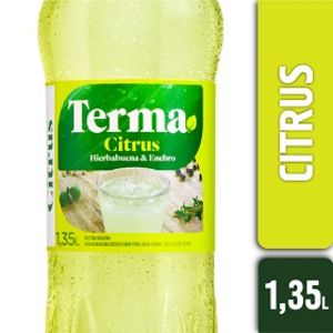 Oferta de Amargo citrus terma 1350 ml por $337 en Supermercados La Reina