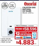 Oferta de Calefon Escorial  por $58596 en Carrefour Maxi