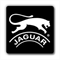 Logo Jaguar Shoes
